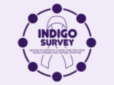 indigo-survey-1